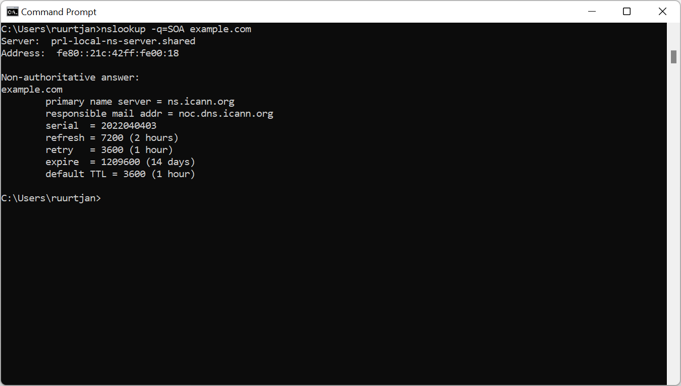 SOA lookup in Windows